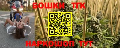 сатива Белореченск