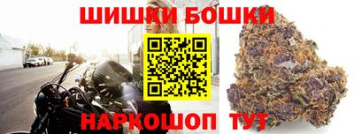 сатива Белореченск