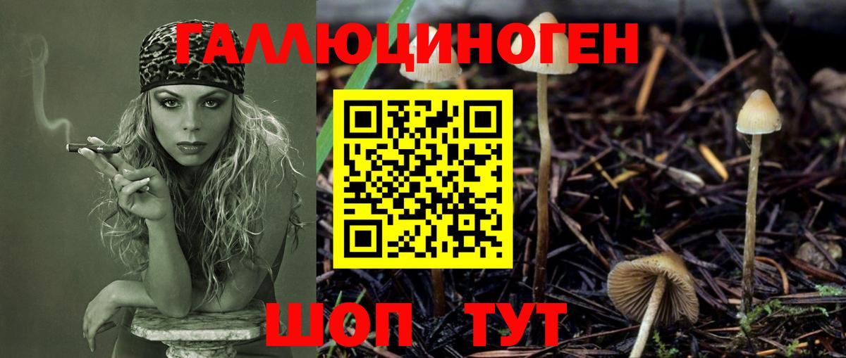 Псилоцибиновые грибы мухоморы  Псилоцибиновые грибы прущие грибы  Вход с VPN  Ачинск 